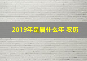 2019年是属什么年 农历